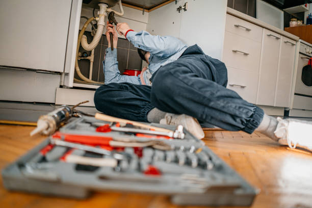 Best Clogged Drain Plumber  in Lake Camelot, IL