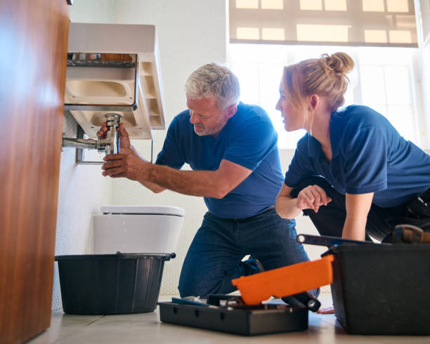 Best Commercial Plumbing Services  in Lake Camelot, IL